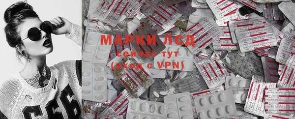 стафф Баксан