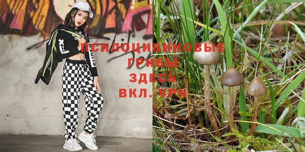 марихуана Балахна